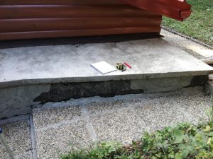 IMG_20180905_165256 (Large)